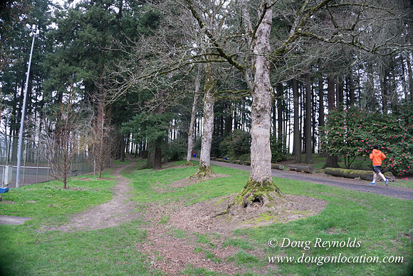 Sellwood Park-2329