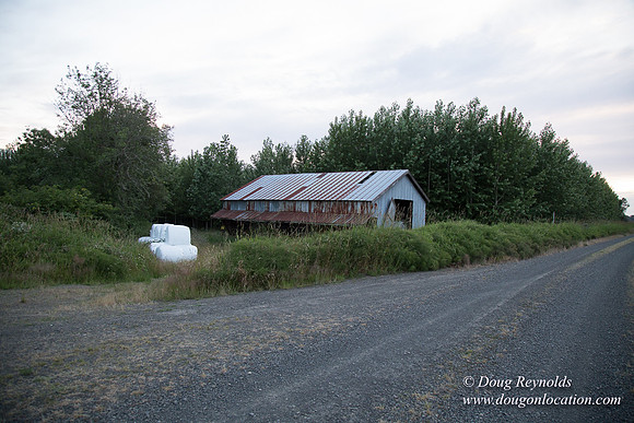 LCG & GWG Tree Farm