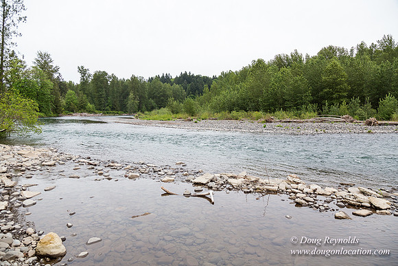 Ranch 21 at River