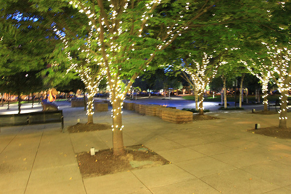 Jamason Park-6566