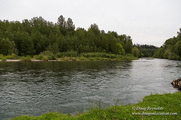 Ranch 21 at River