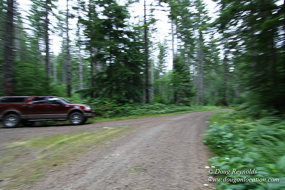 Tree & Forested locations