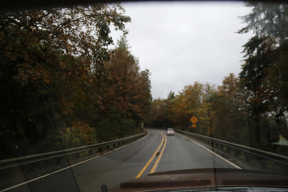 Shields Rd-0160