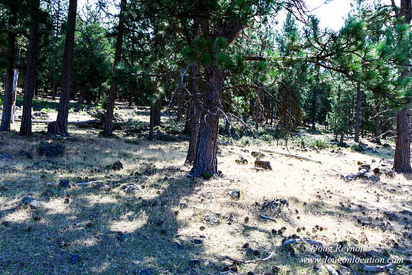 Ranch 18