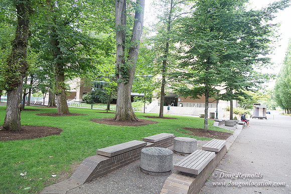 Portland Streets