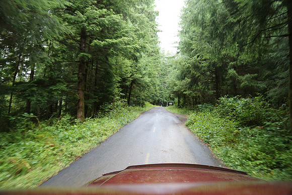 Saddle Mt Rd-0330