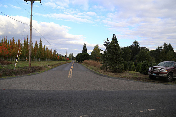 Dilly Rd-1559