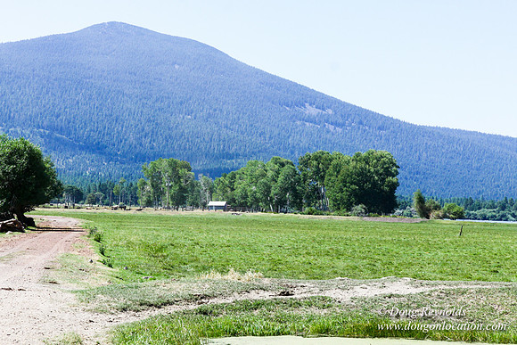 Ranch 18