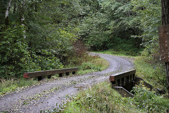 Shields Rd-0154