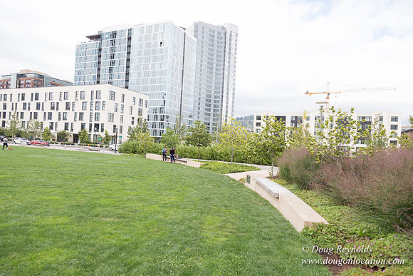 The Fields Park