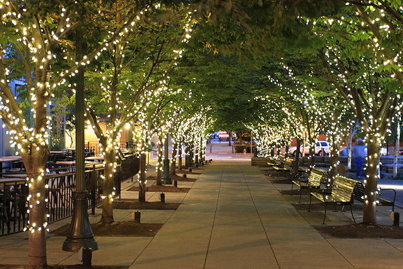 Jamason Park-6539