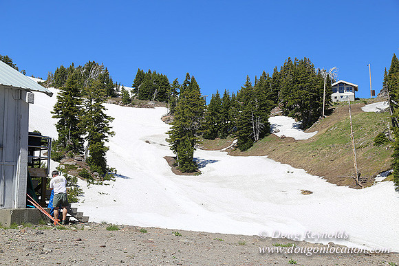 Medow's Snow-5714