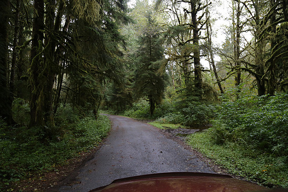 Saddle Mt Rd-0327