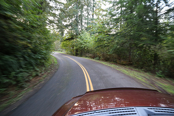 Woodland Ln-1761