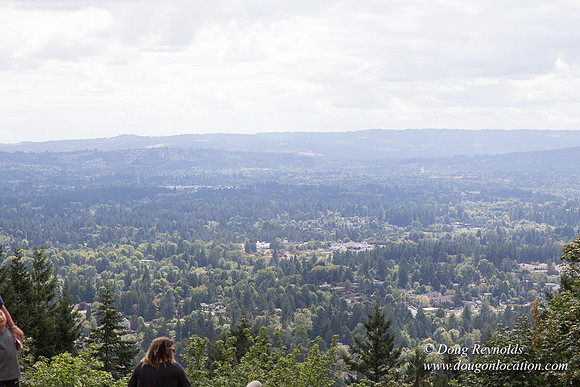 Council Crest Park View
