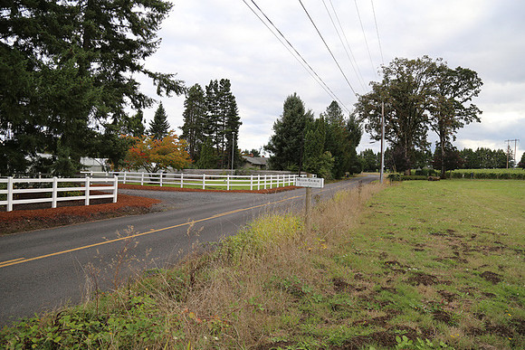 Dilly Rd-1549
