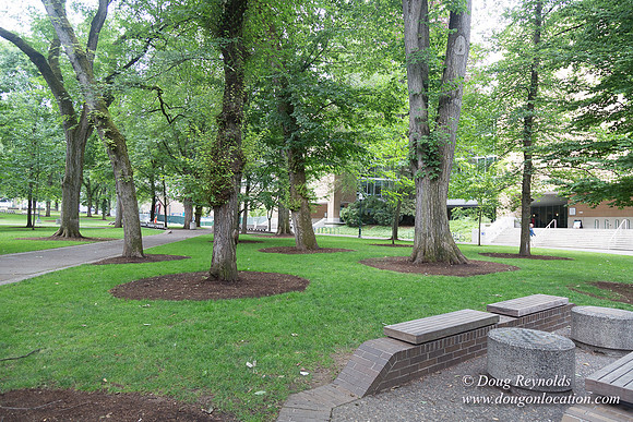 Portland Streets