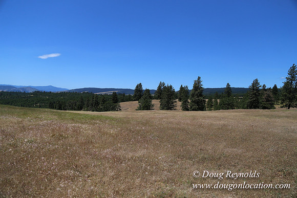 Brothers Ranch-8475