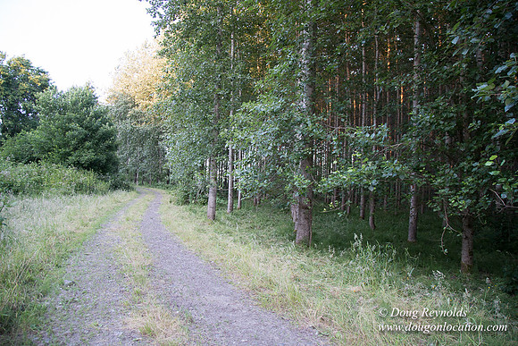 LCG & GWG Tree Farm