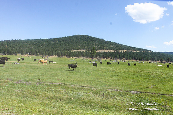 Ranch 18