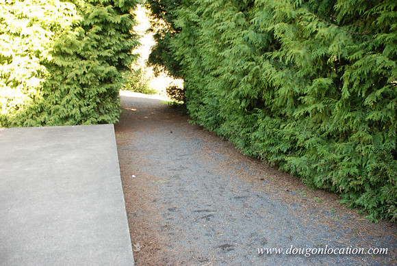 Washington Park Ampitheater-0928