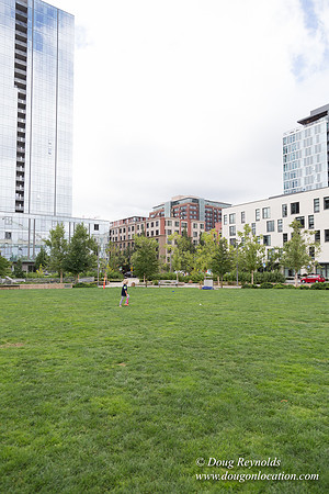The Fields Park