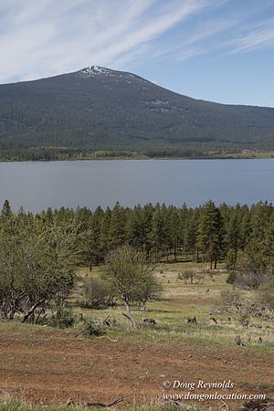 Ranch 18