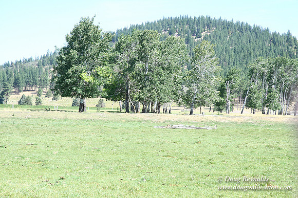 Ranch 18