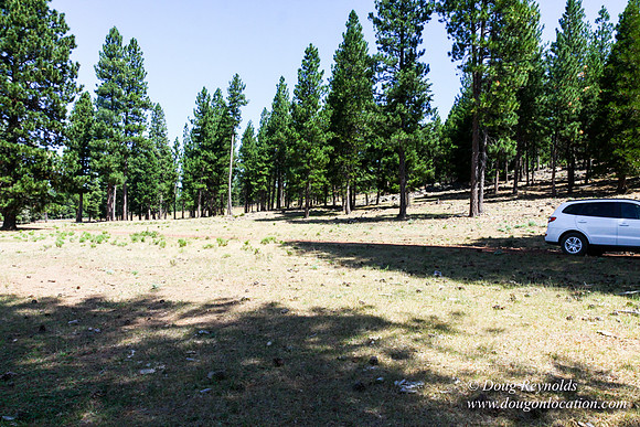 Ranch 18
