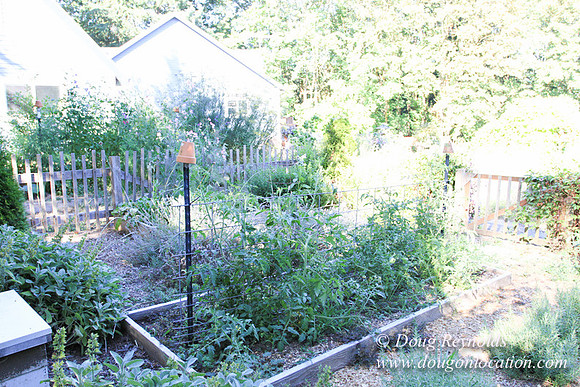 Traditional Style Home small farm with large kitchen great room, 2 story, 2 car garage on Acreage with large back yard, large front yard, garden, pond, deck, goats, bees, shop, PDX Zone