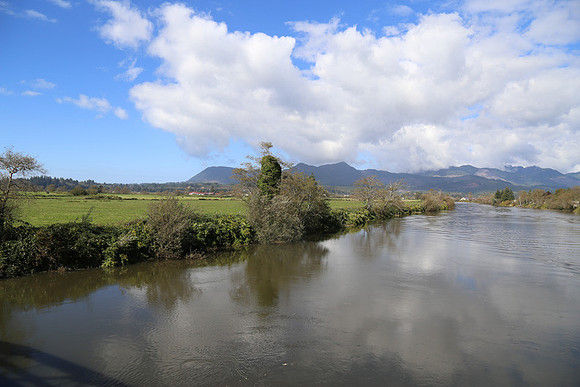 Hwy 53 Nehalem Brdg-1260