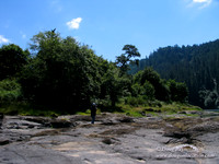 Ranch 6