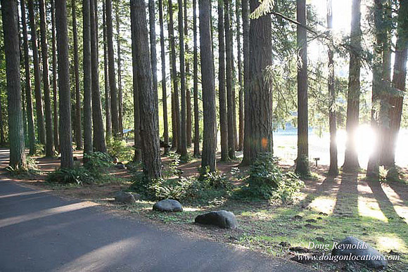 Roslyn Cabin