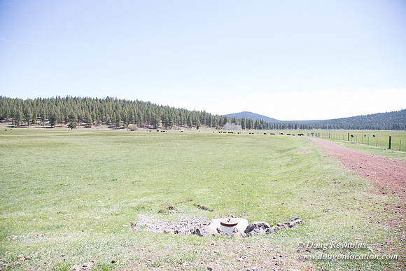 Ranch 18