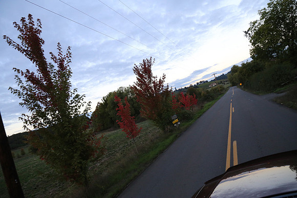 Woodland Ln-1794