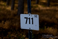 Tree Farm