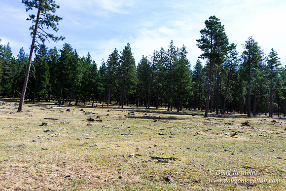 Ranch 18