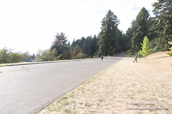 Mt Tabor- View 5 SBT West