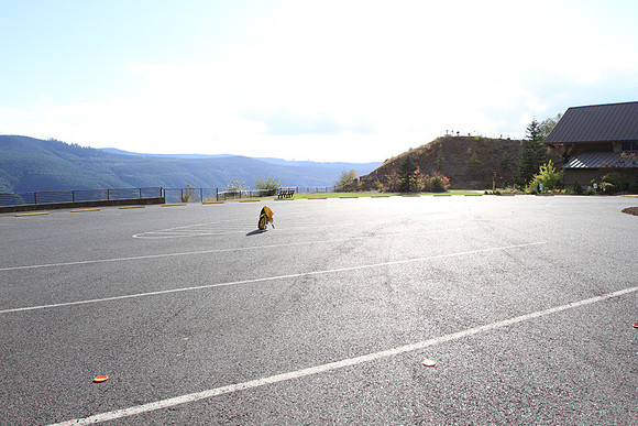 Elk View 360 Look in-4625