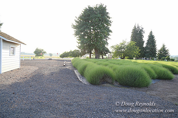 Toms Rd Side-6395