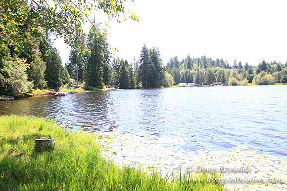Richter Lake House-8427