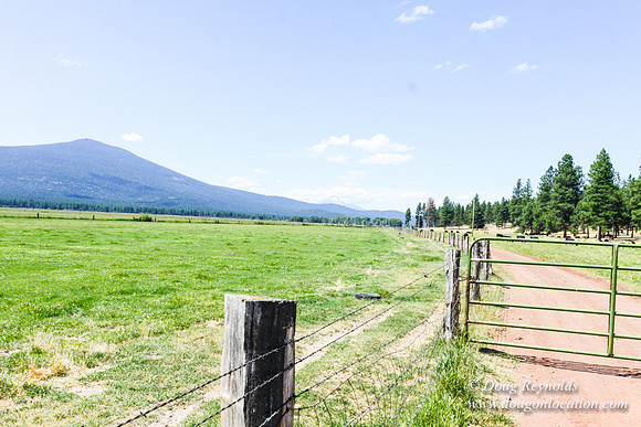 Ranch 18