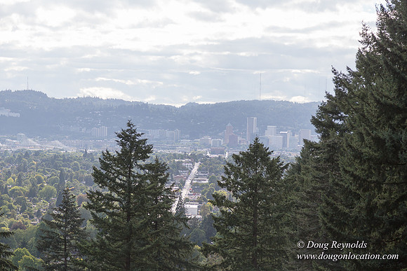 Mt Tabor Top- View 3 West