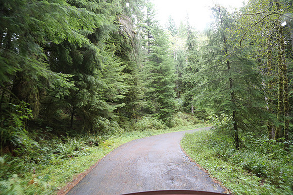 Saddle Mt Rd-0338