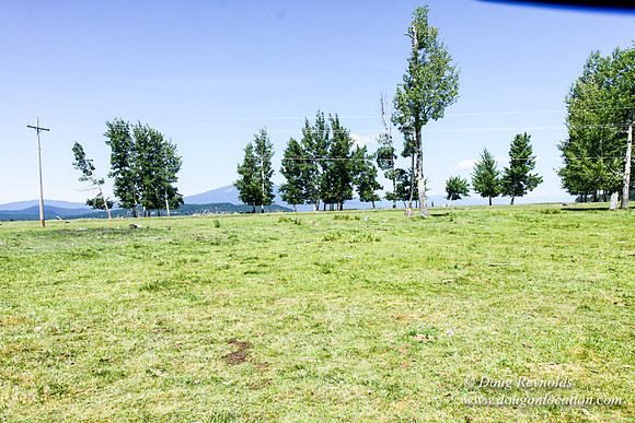 Ranch 18