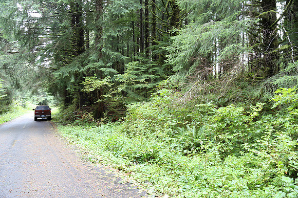 Saddle Mt Rd-0301