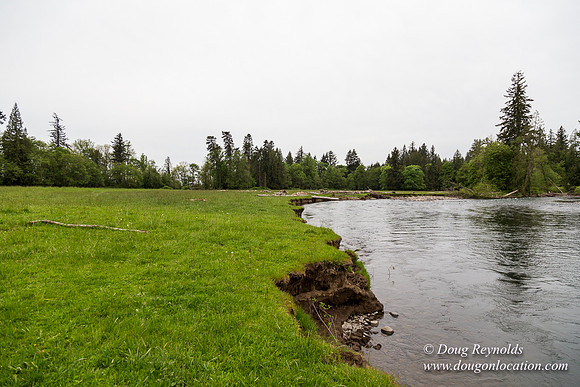 Ranch 21 at River