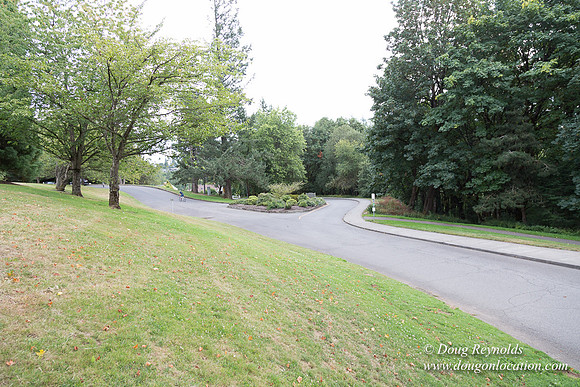 Council Crest Park View
