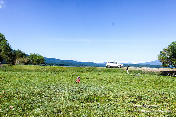 Ranch 18