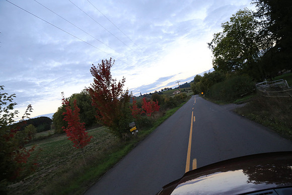 Woodland Ln-1795